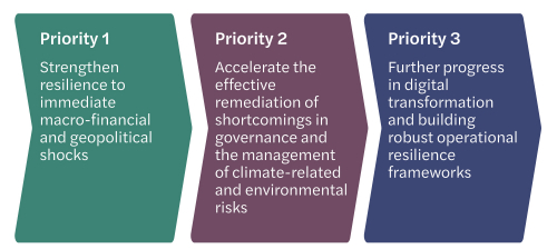 3 ECB strategic priorities - Mazars in Ireland